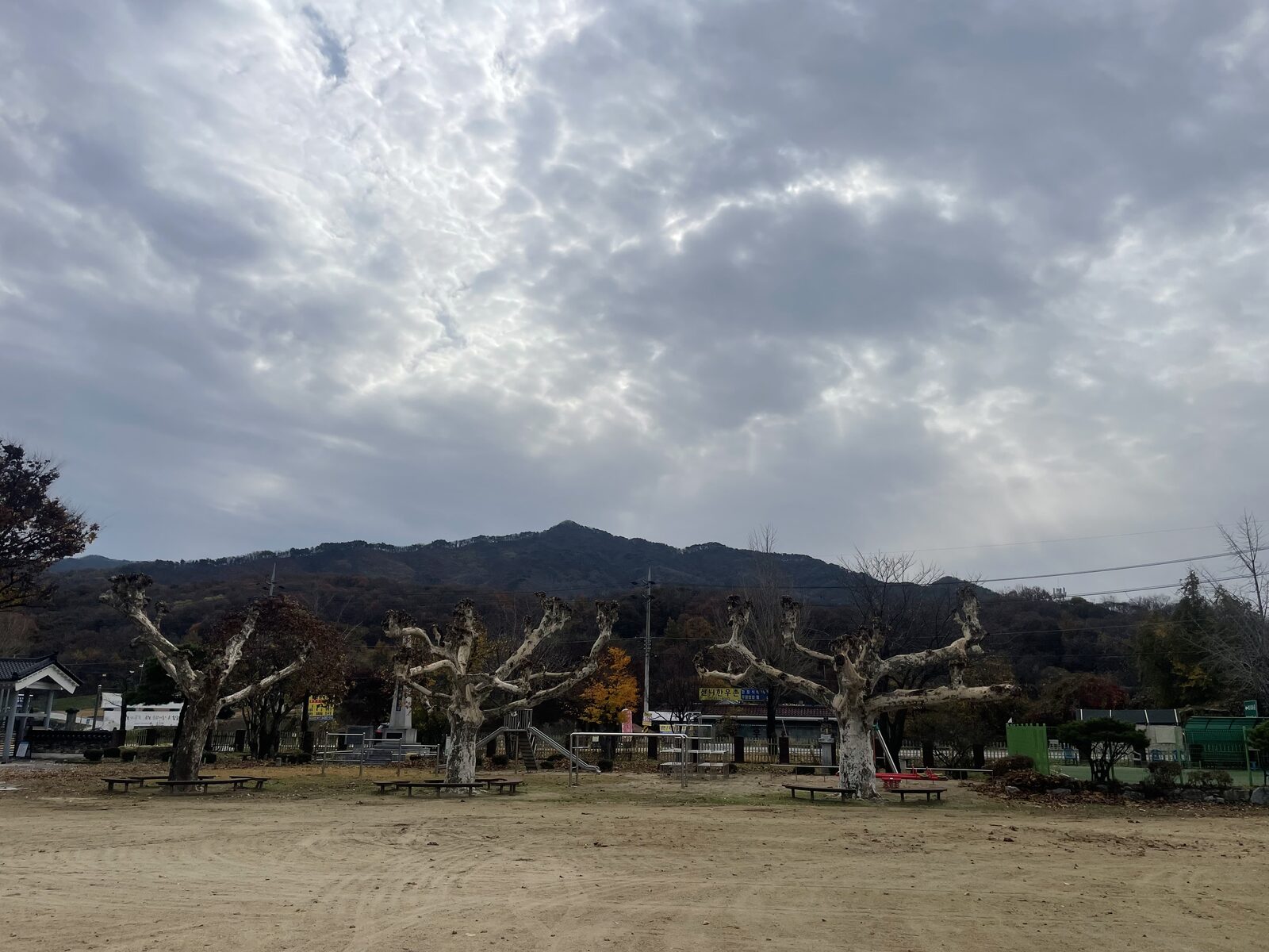 공원 조경 전경 - 주민 휴식 공간의 한국식 조경