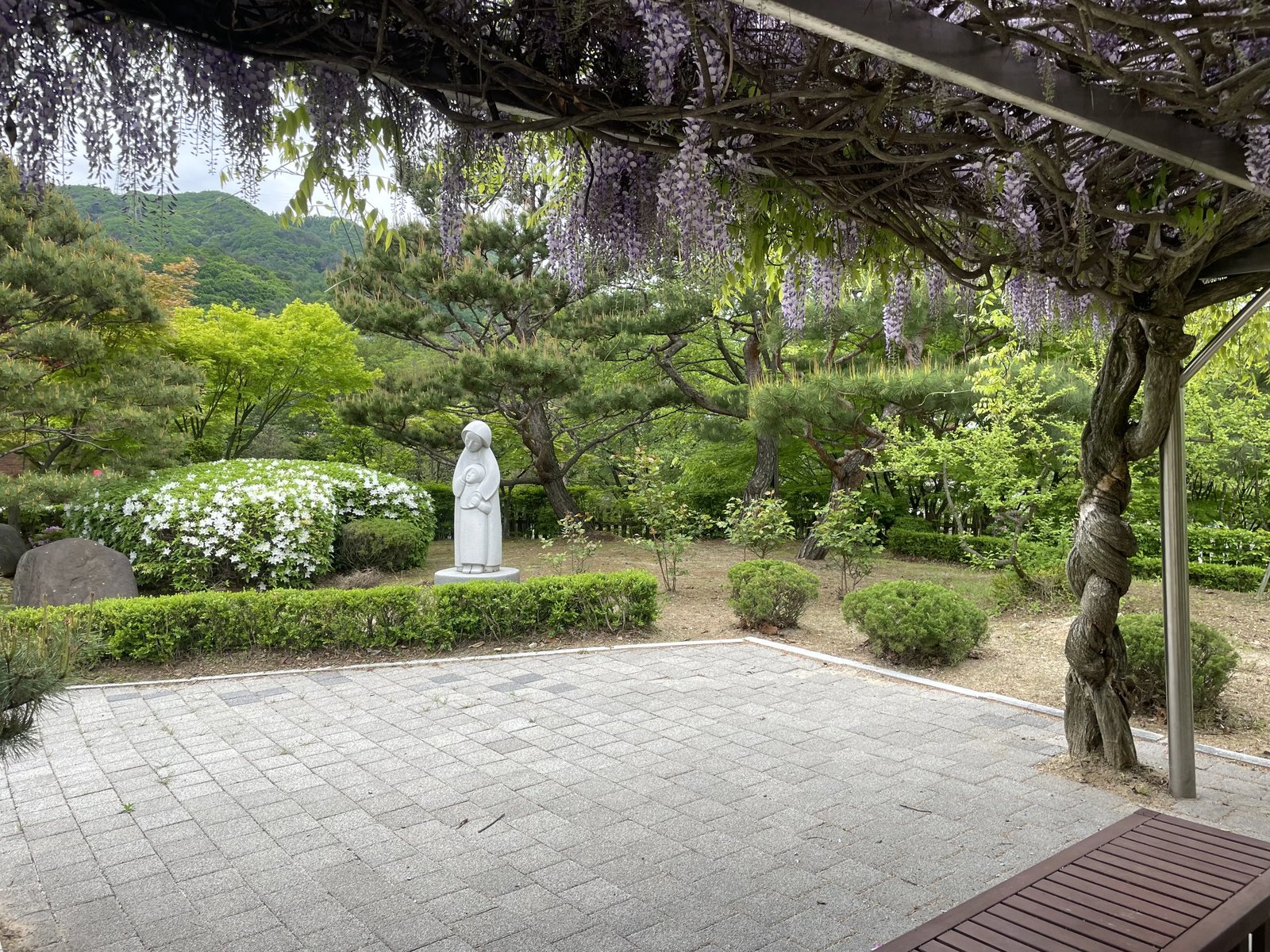 충주 대형 포인트 자연석 시공 — 규화목