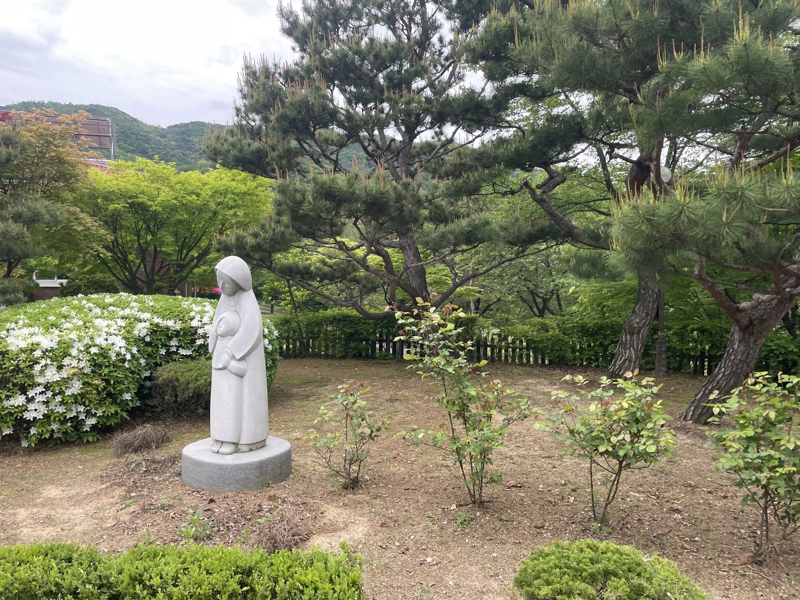 고급 빌라 전면 정원