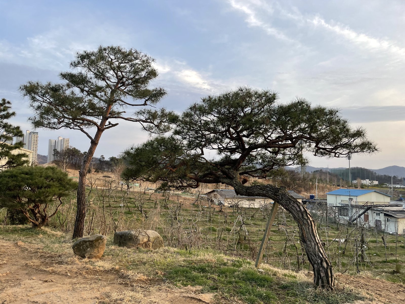 강경읍 조경 시공 참고 사례 - ABC조경 18년