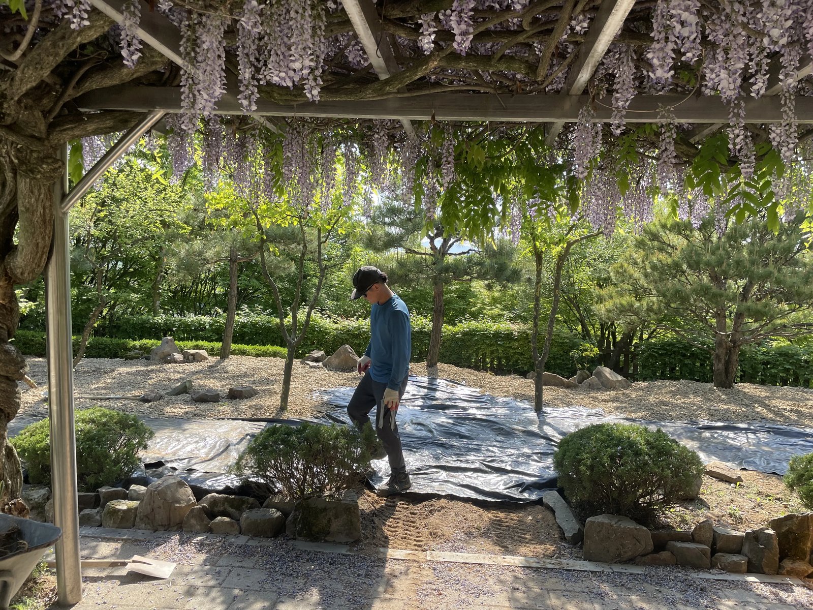 학교 잔디 원형 정원 시공