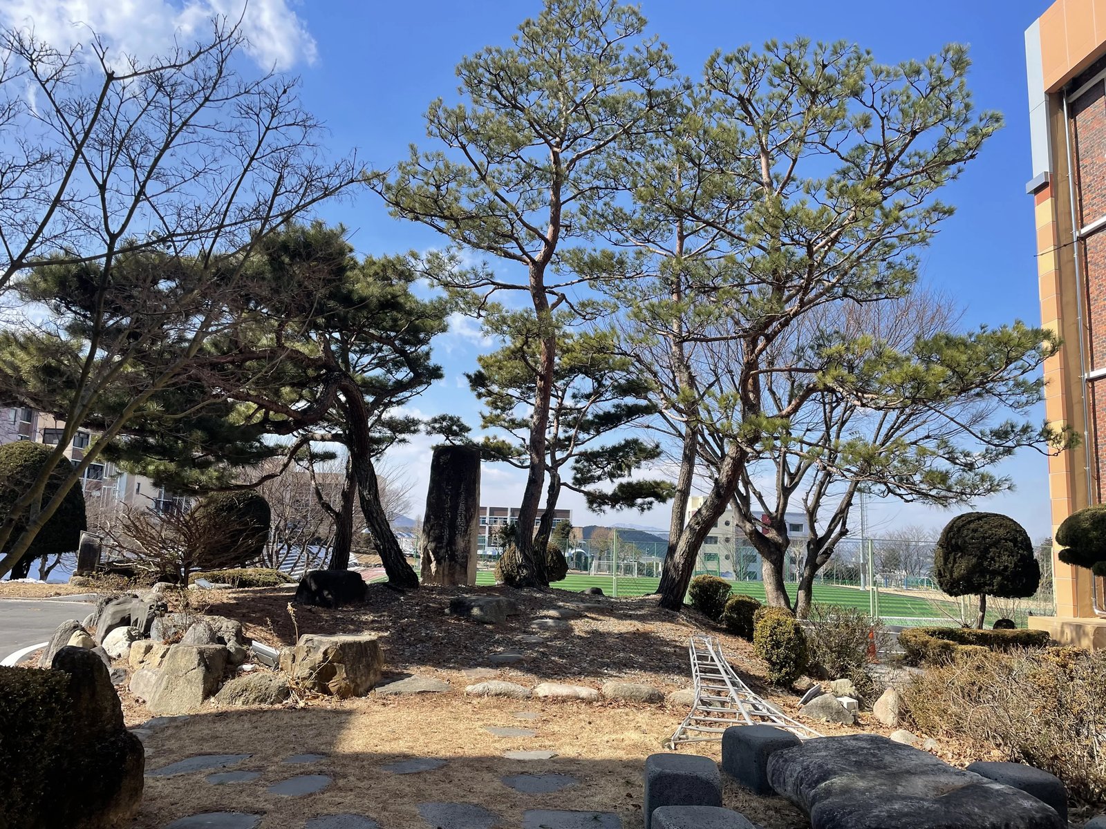 충주 목재 데크 시공 사례 — 정원 코너