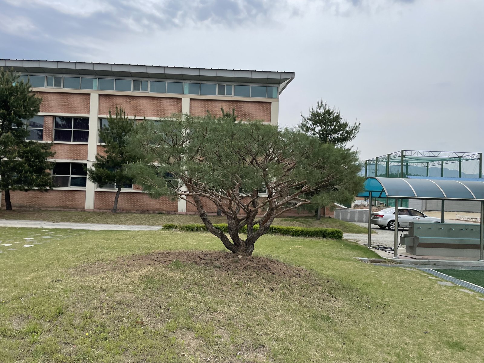 충주 디딤석·판석 포장 사례