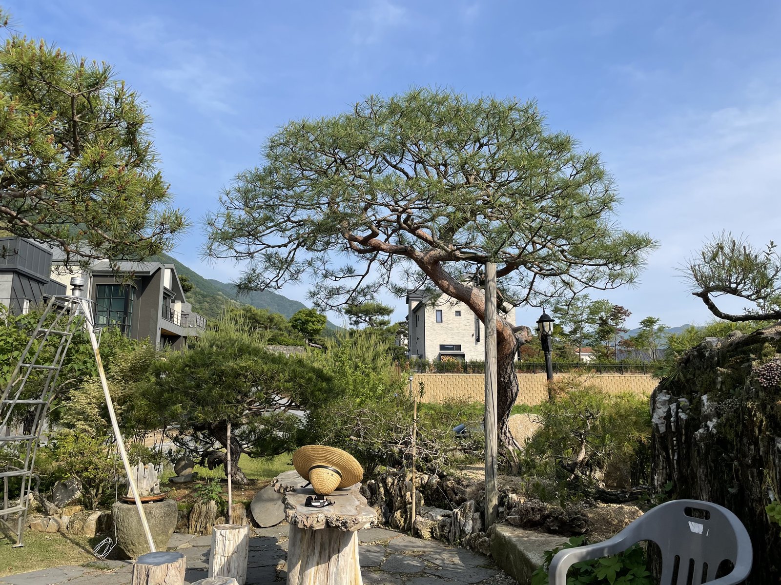 충주 빌라 쌍송 자연석 정원