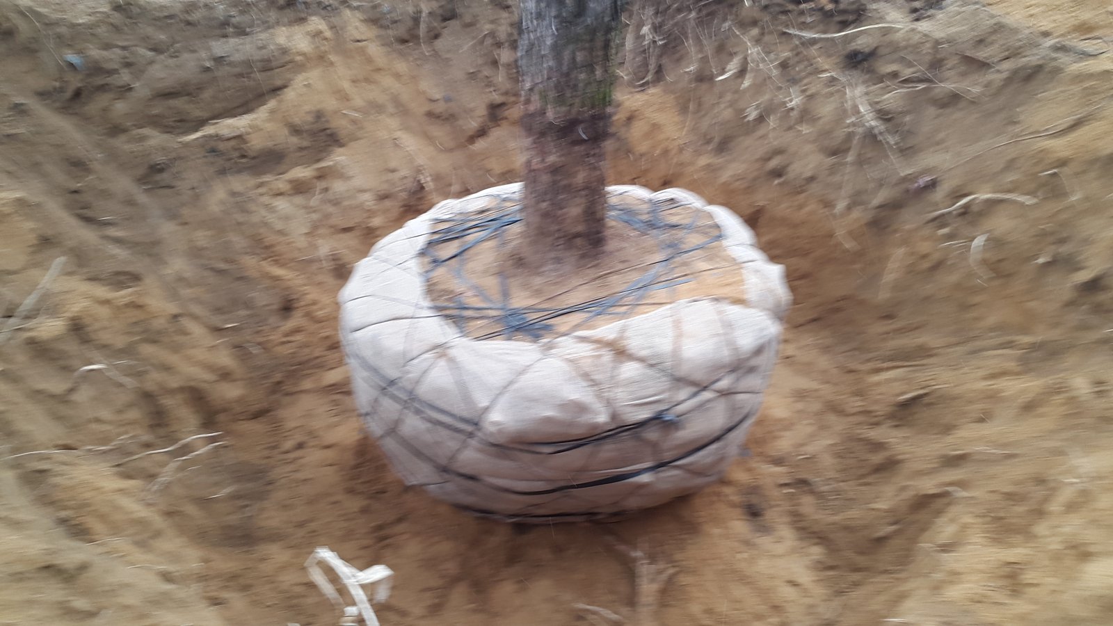 봉양읍 조경 시공 참고 사례 - ABC조경 18년