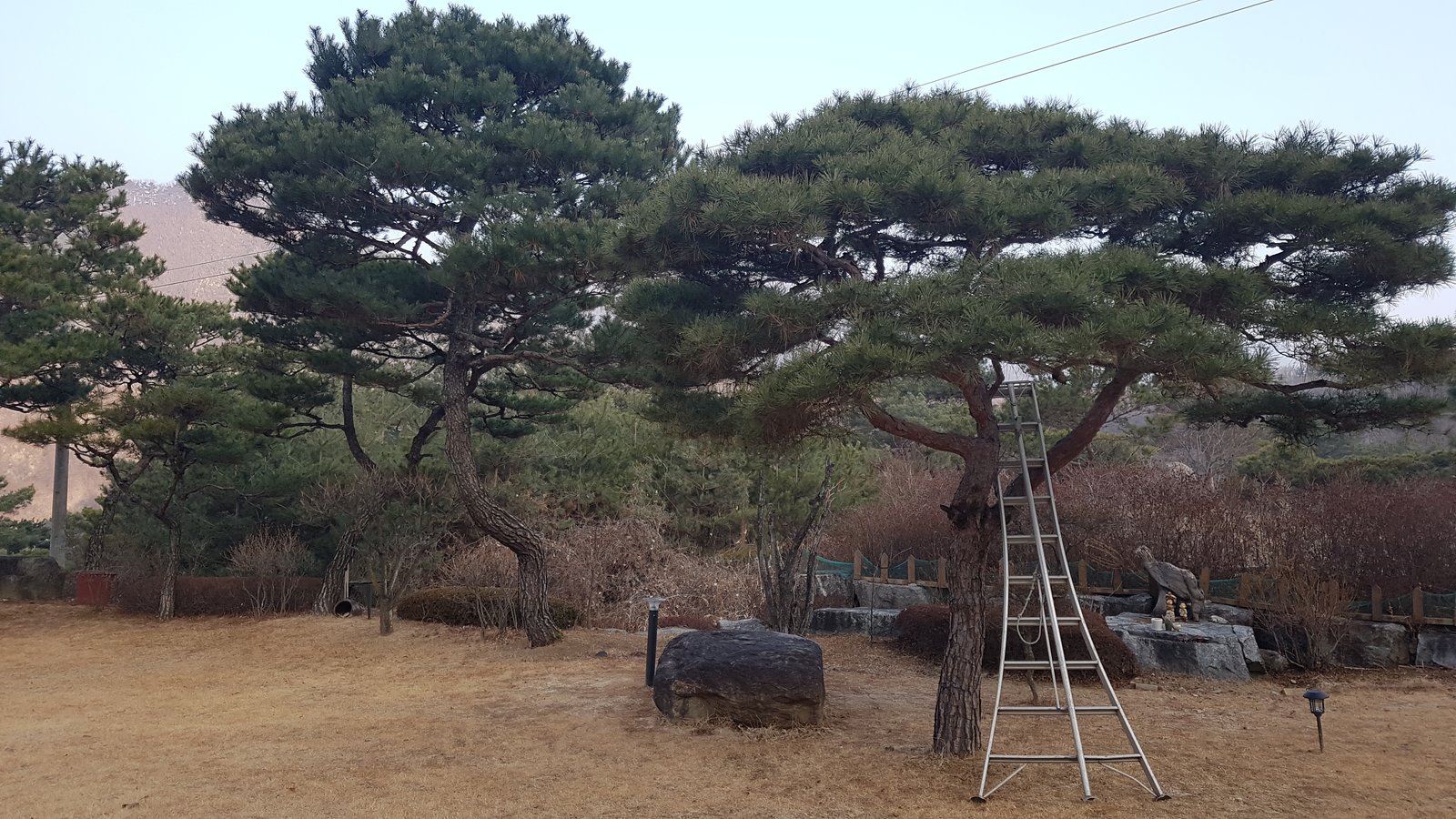 충주 펜션 정원·마당 시공 사례