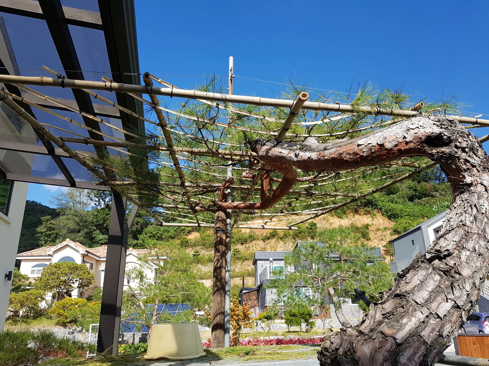 사이드 정원 자연석 정자