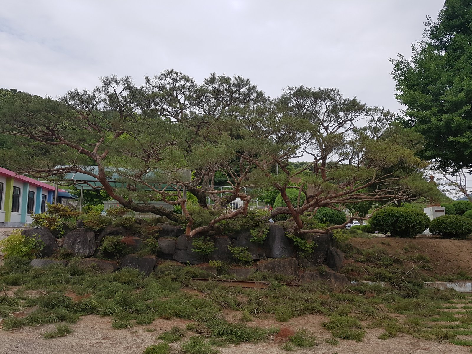 합덕읍 조경 시공 참고 사례 - ABC조경 18년