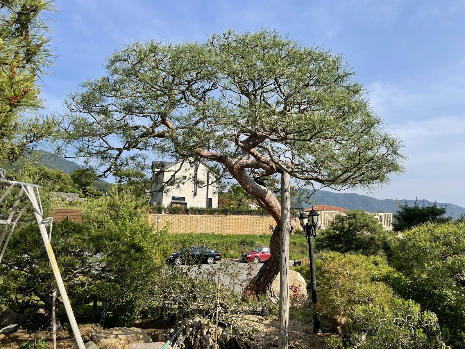 안면읍 조경 시공 참고 사례 - ABC조경 18년