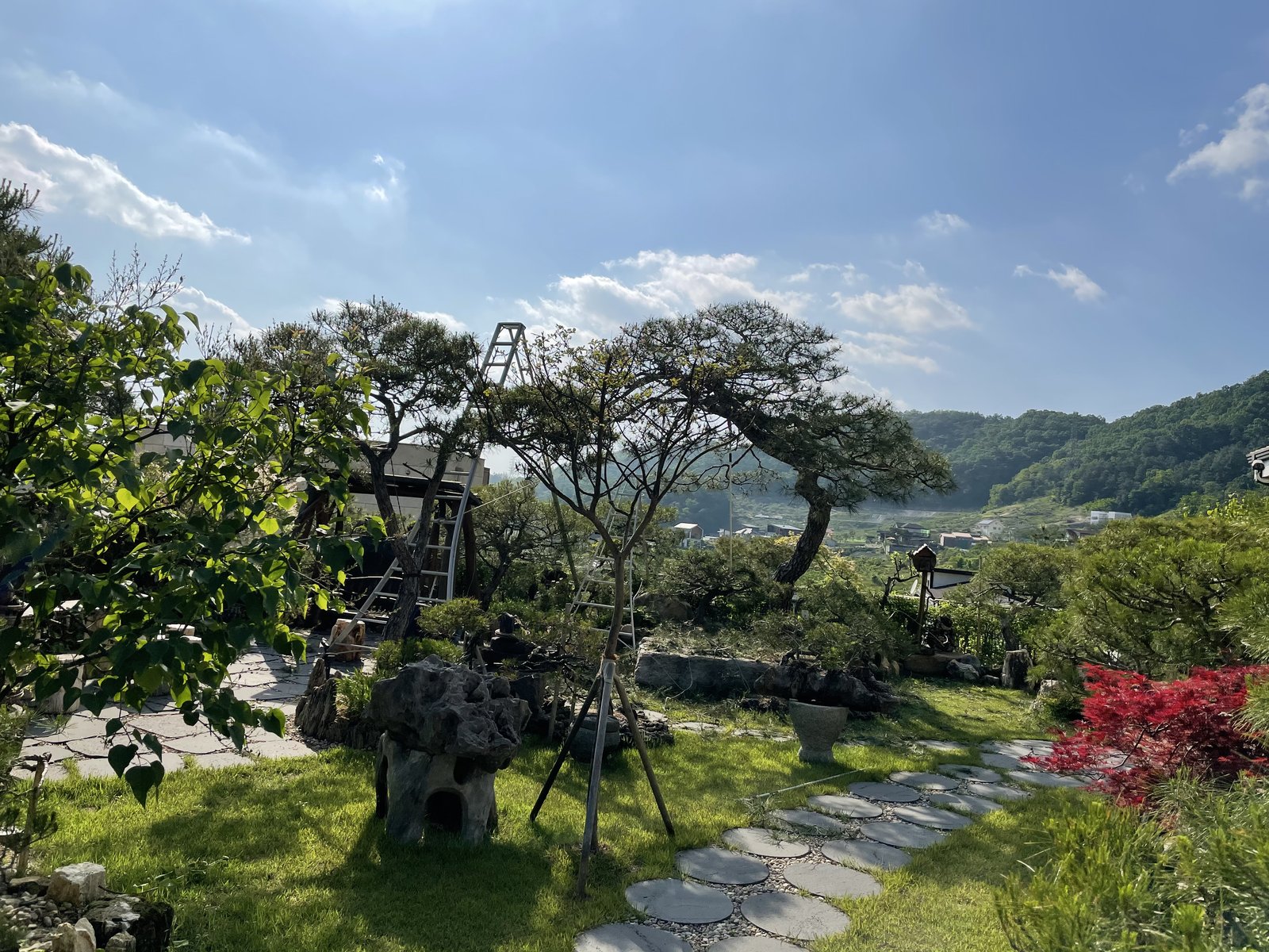 고급 주택 명품 소나무 야경