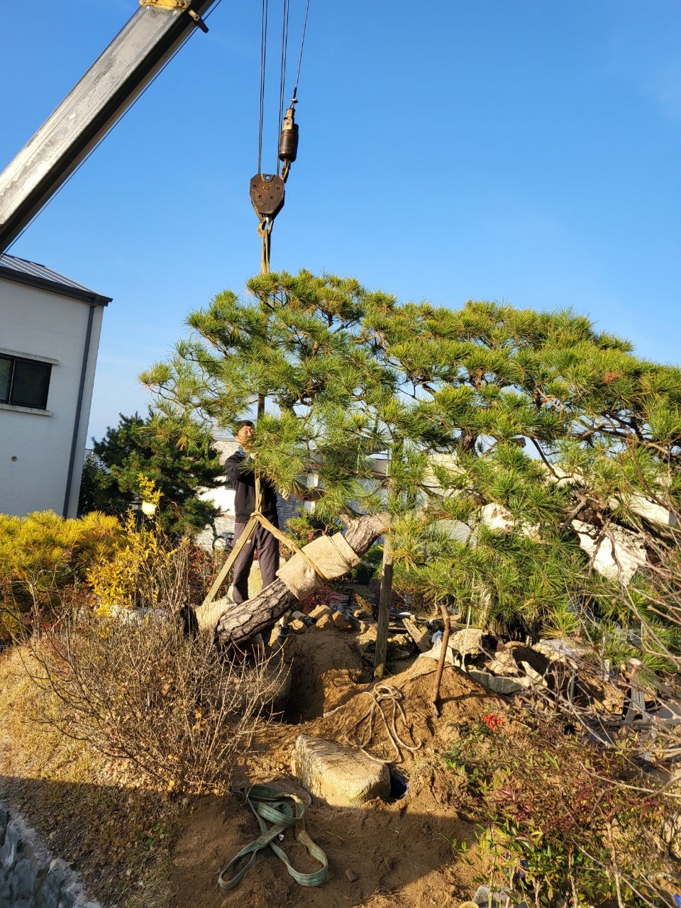 단양읍 조경 시공 참고 사례 - ABC조경 18년