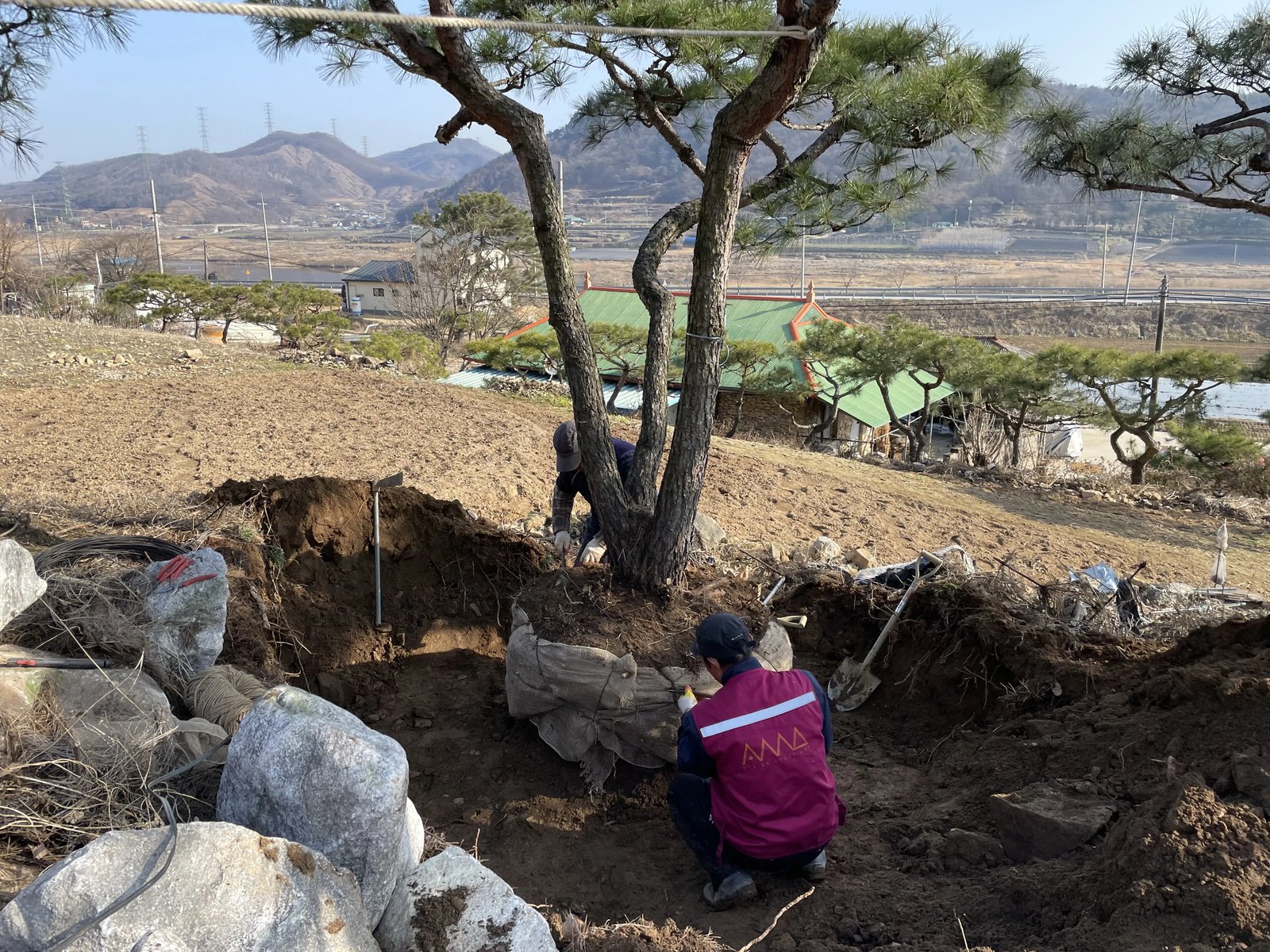 명품 소나무 분뜨기 — 들녘에서의 자재 수급