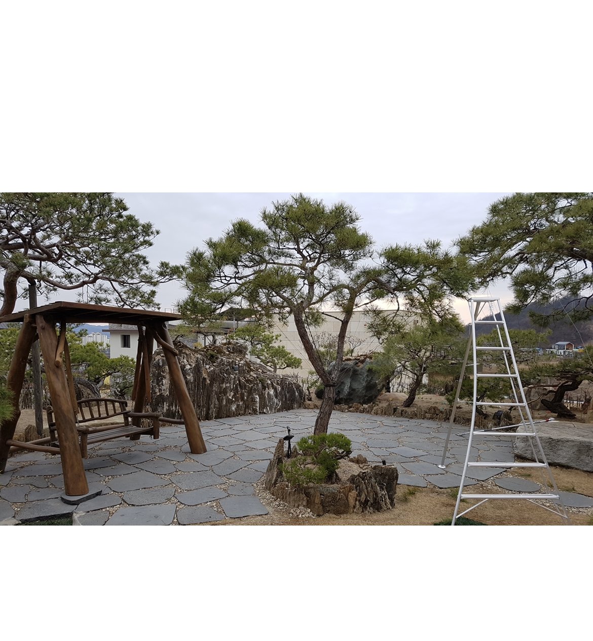 ABC조경 본사 정원 — 그네와 명품 소나무 (2019)