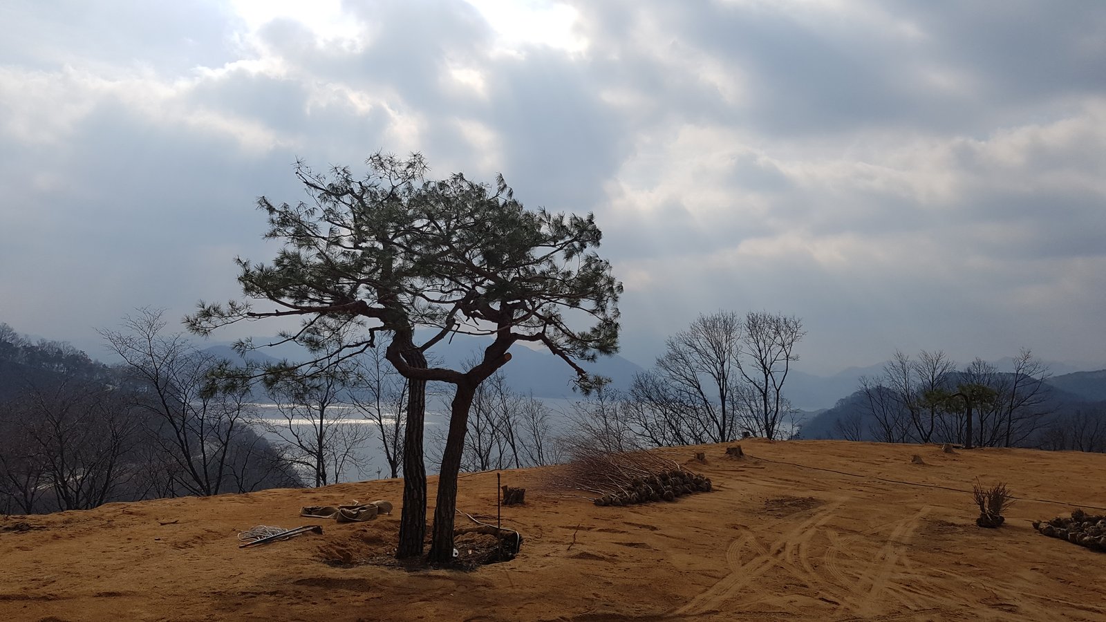 ABC조경 본사 마당 정원 — 직접 가꾸는 공간