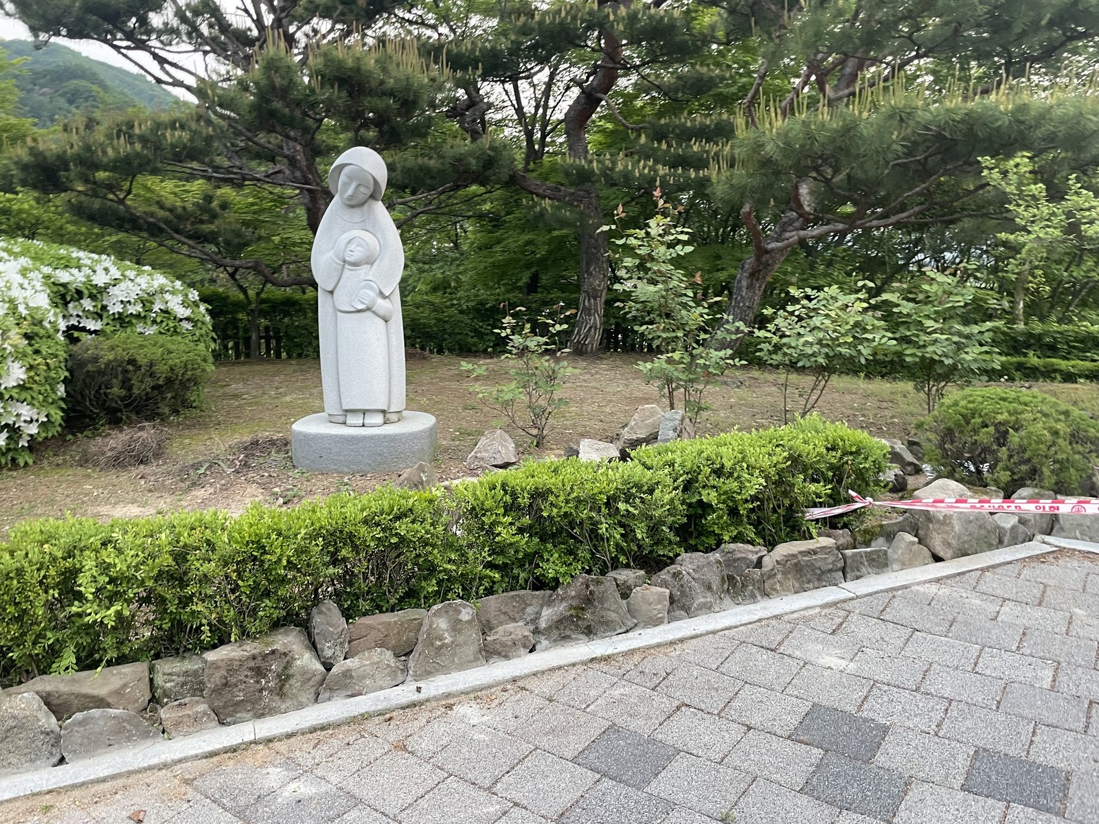 모던 정원 화석목과 자연석 마감