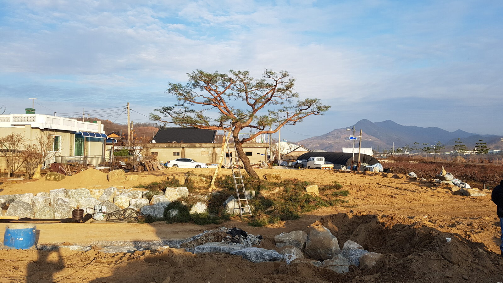 대형 노송 식재 자연석 회전 화단 - 학교 본관 앞 종합 조경 시공 사례
