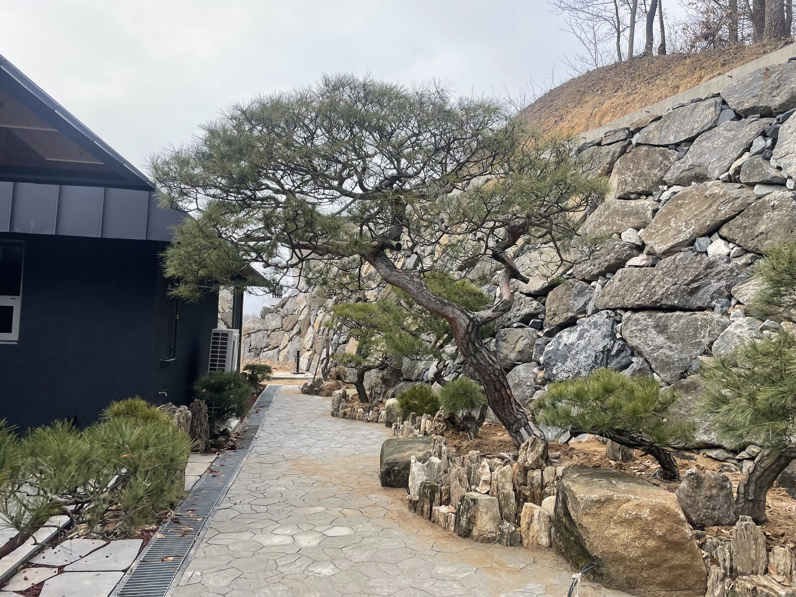 자연석 옹벽 노송 정원 시공 진행 중 - 점판암 입석·헥사곤 판석 정원 조성