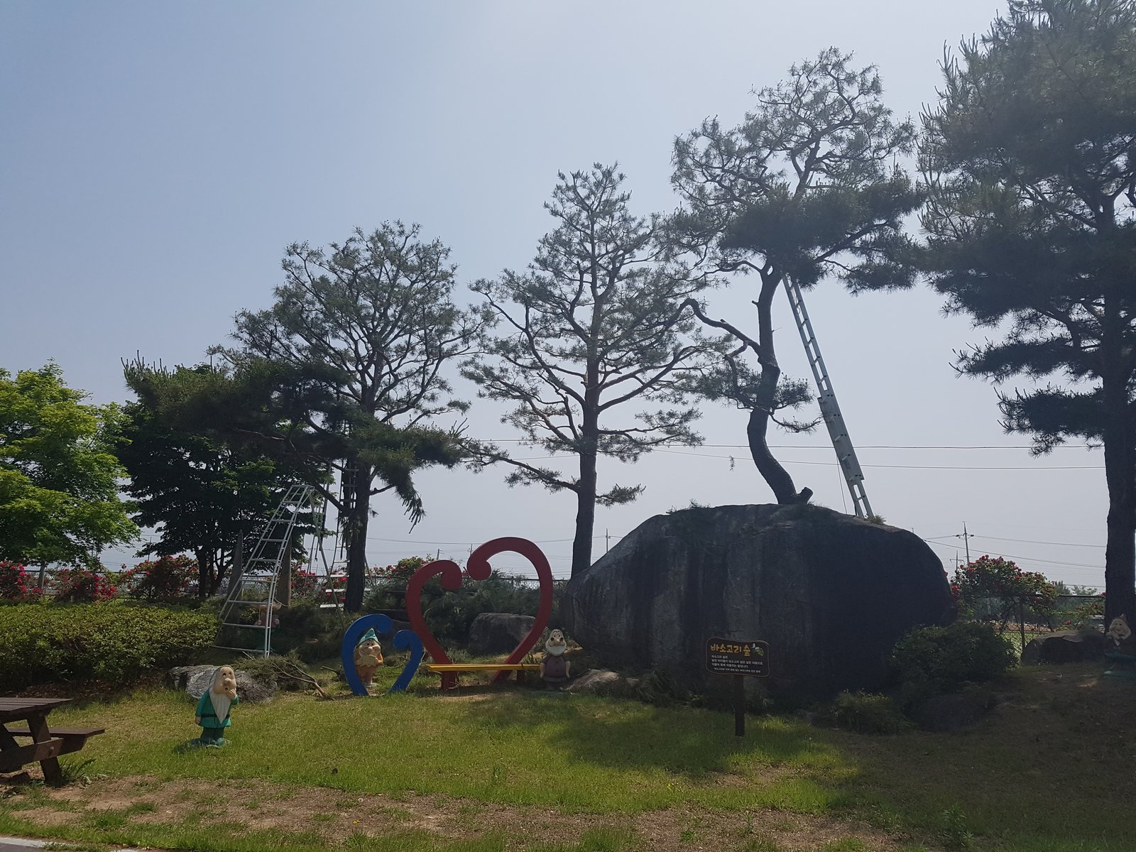 명품 소나무 캐노피 디테일