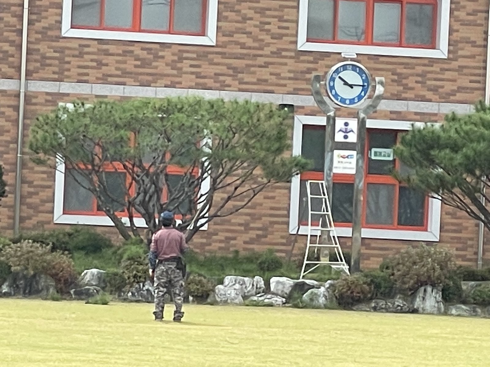 학교 마당 포장·식재