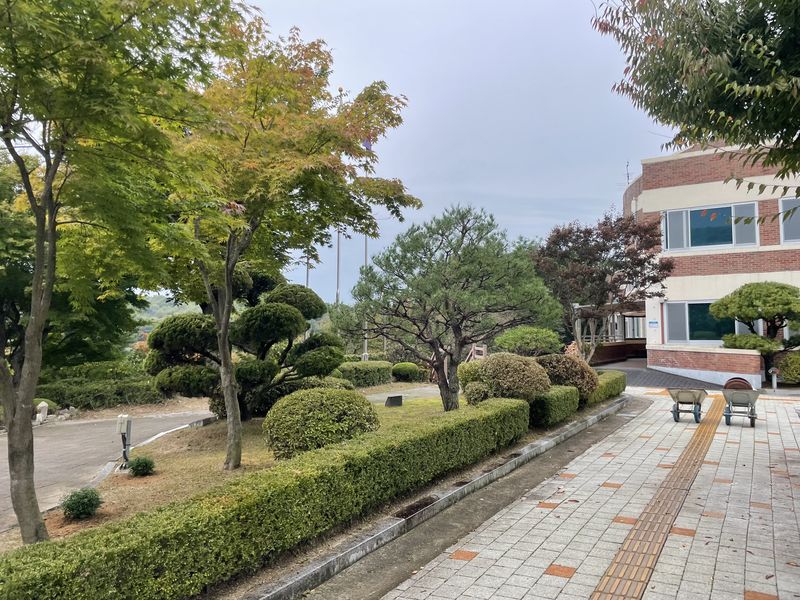 학교 정원 연못 시공 - 자연석 연못과 소나무