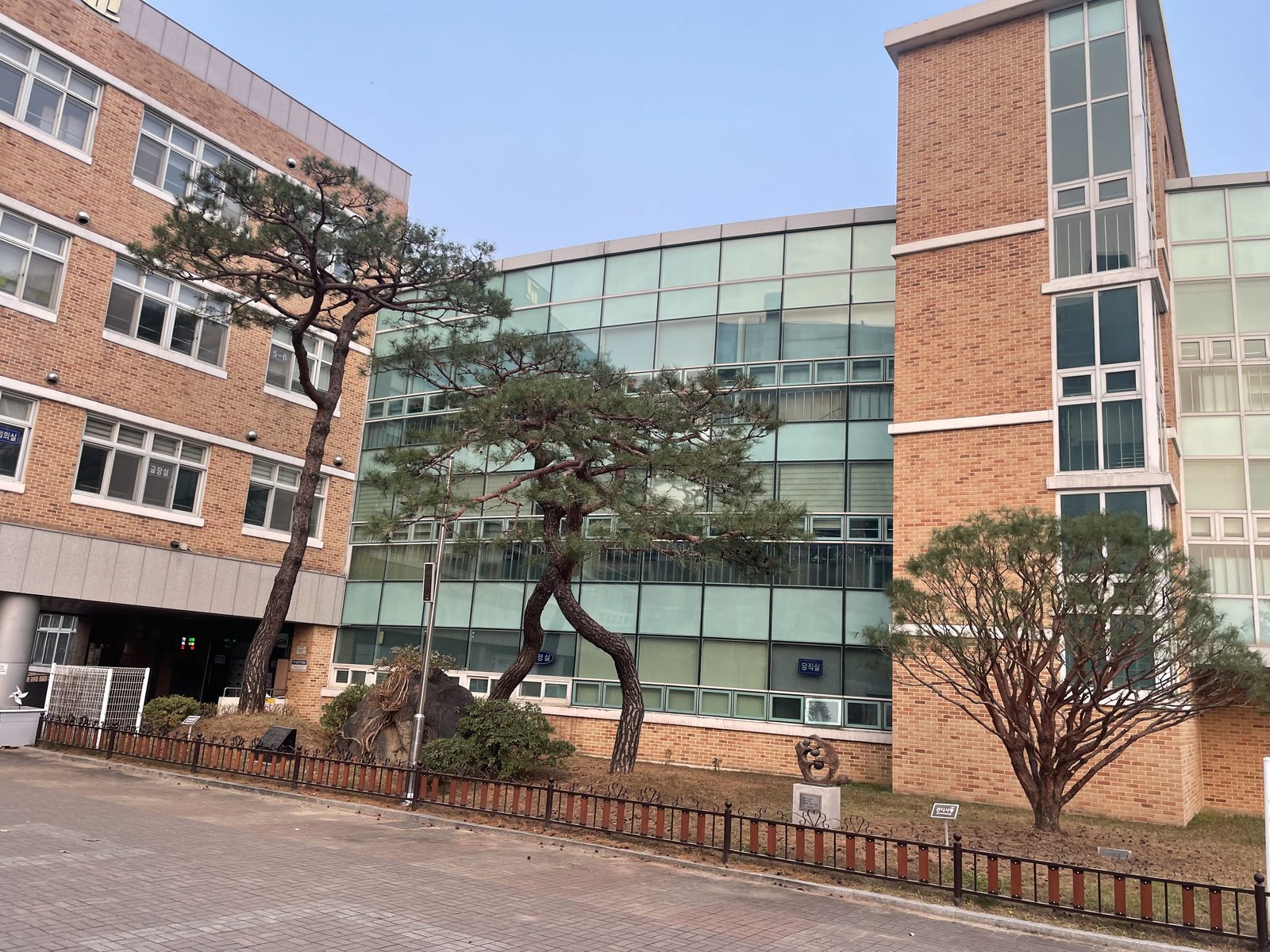 잔디 위 토피어리 소나무